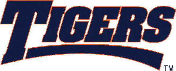 Auburn Tigers 1998-2003 Wordmark Logo diy fabric transfer